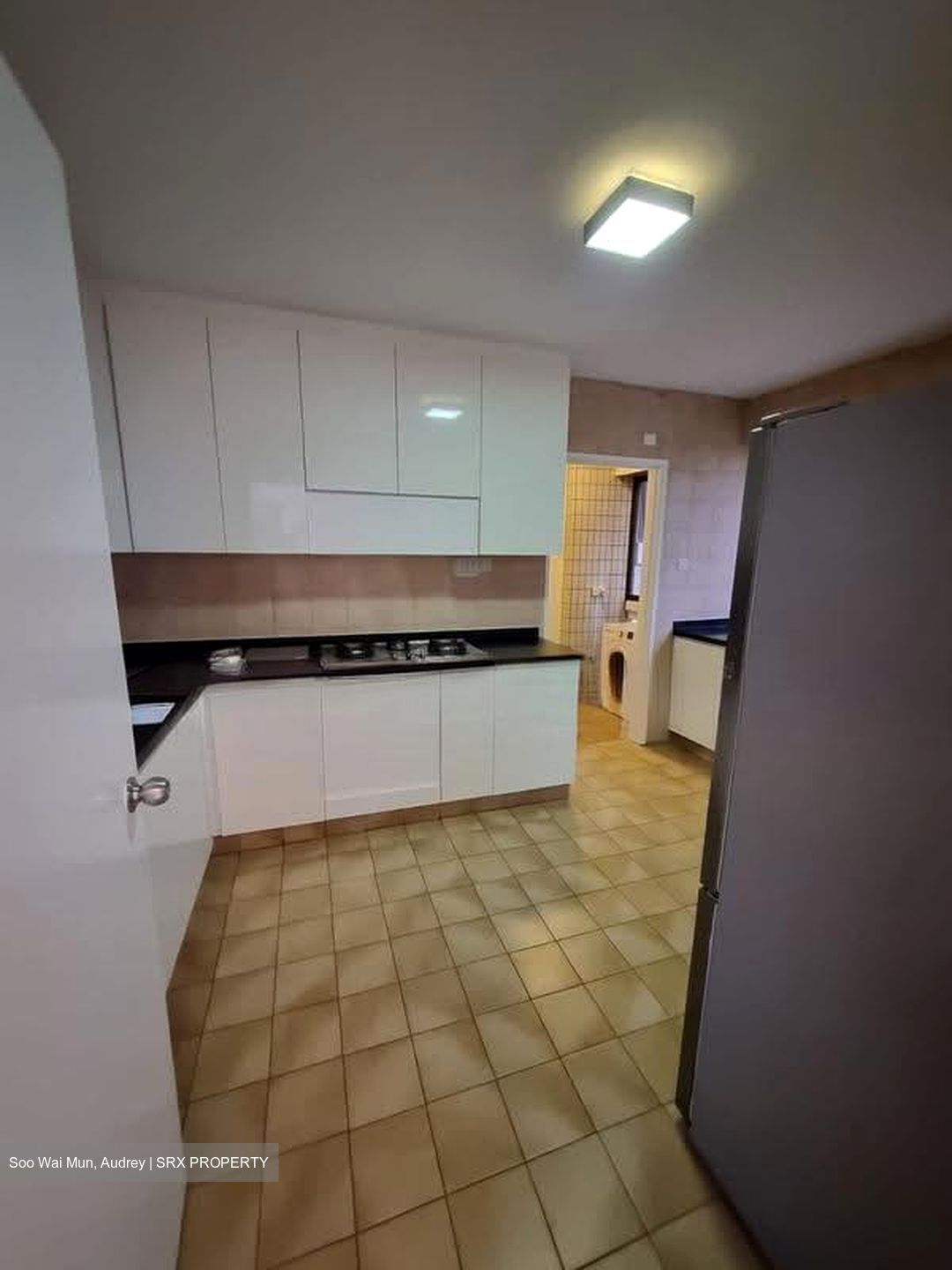 The Cairnhill (D9), Condominium #613833381